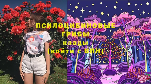 ПСИЛОЦИБИНОВЫЕ ГРИБЫ Абинск