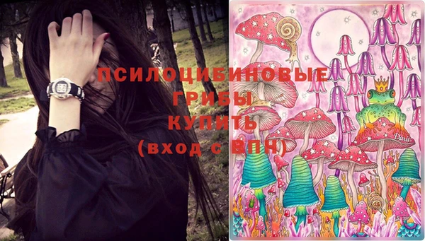 ECSTASY Абаза